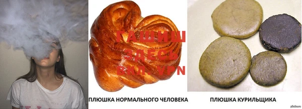 прущие грибы Беломорск