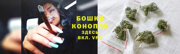 круглые Белокуриха
