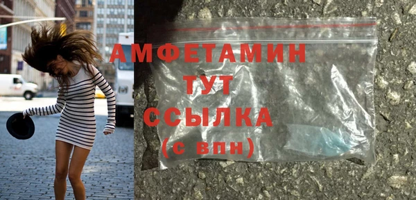 прущие грибы Беломорск