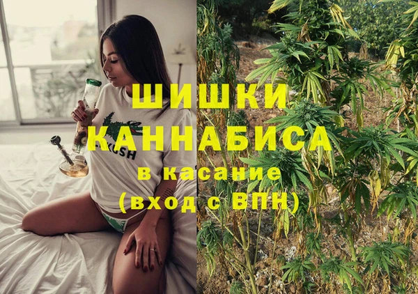 прущие грибы Беломорск