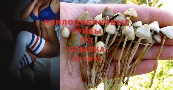 круглые Белокуриха