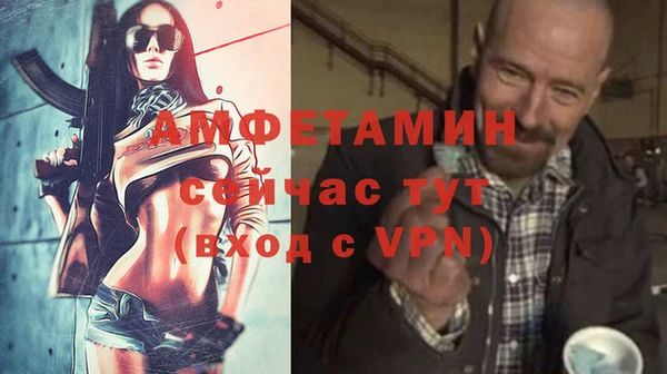 прущие грибы Беломорск
