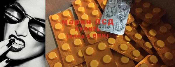 прущие грибы Беломорск