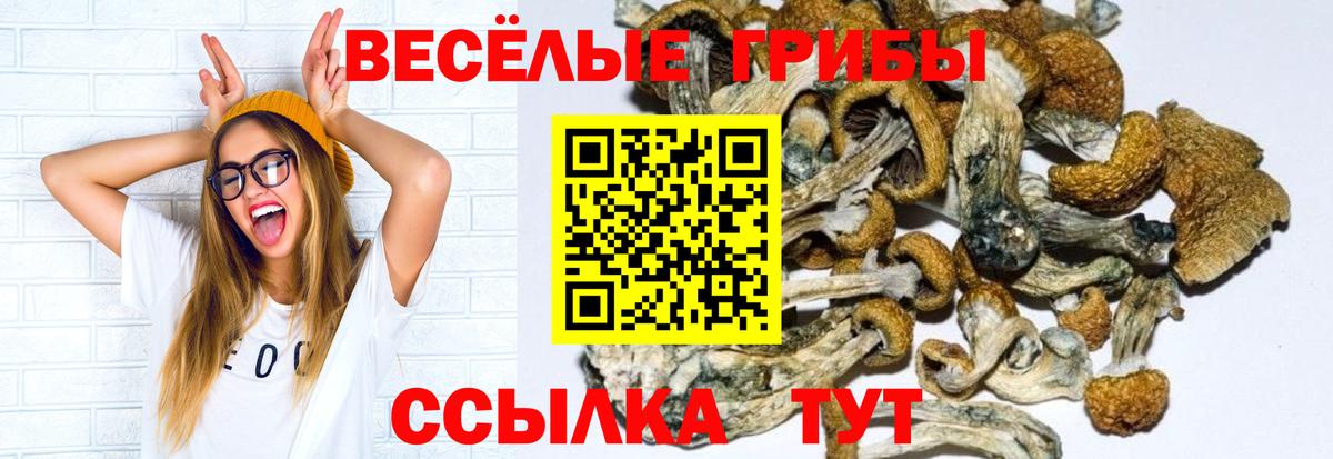 Армавир  Псилоцибиновые грибы прущие грибы  Вход с VPN 